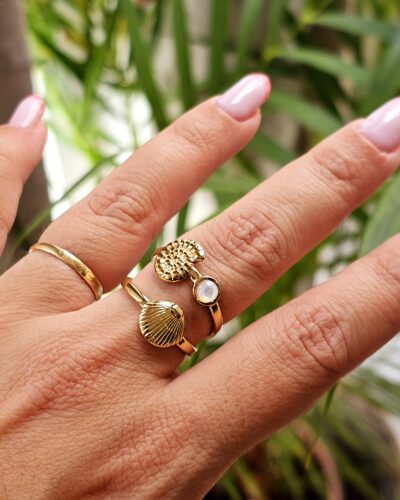 Anillo 4073
