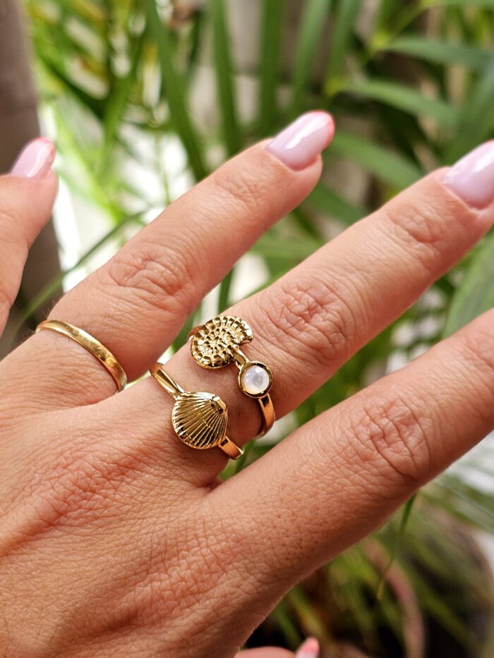 Anillo 4073