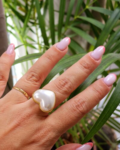 Anillo 4069
