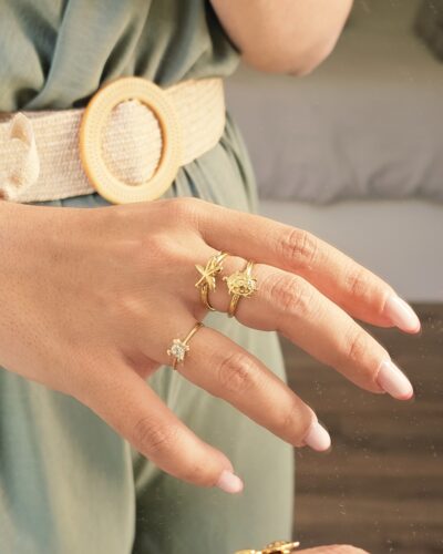 Anillo 0196