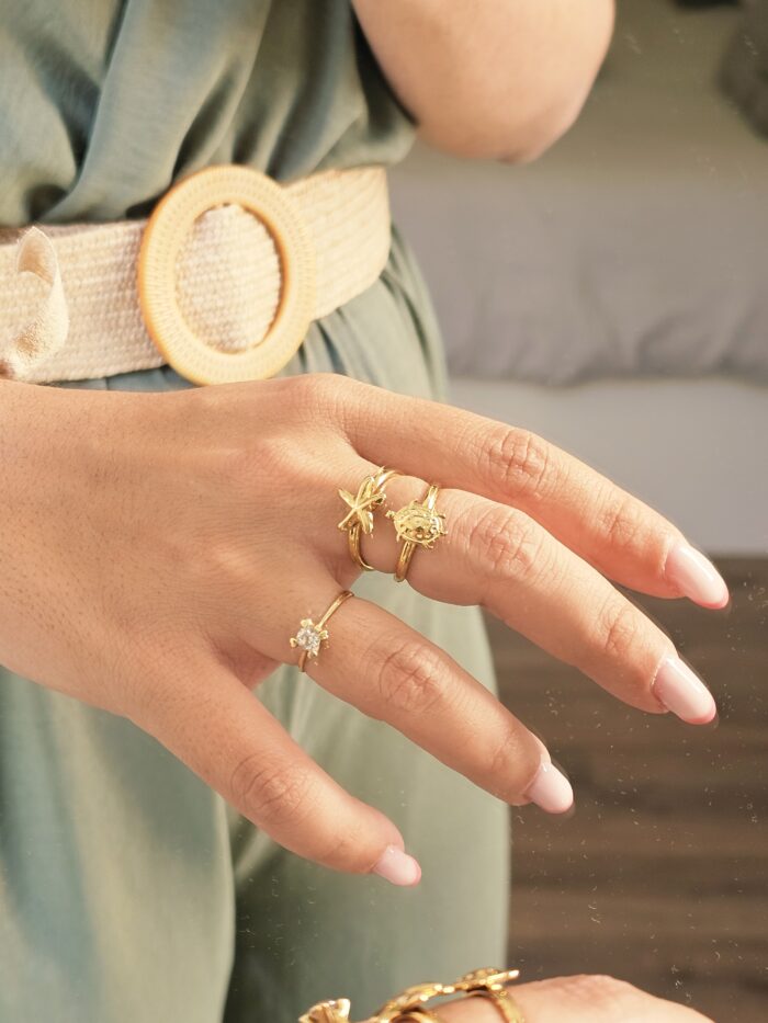 Anillo 0196