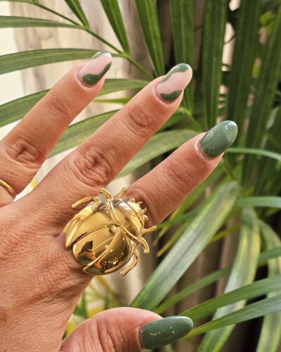 Anillo 5011