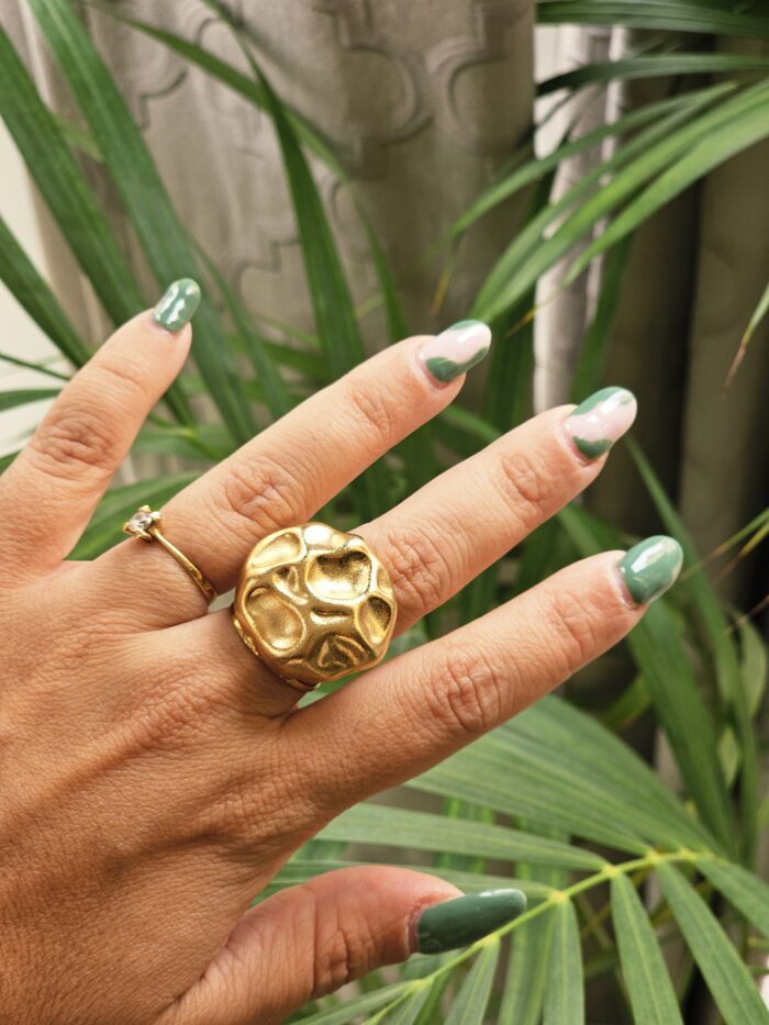 Anillo 4658