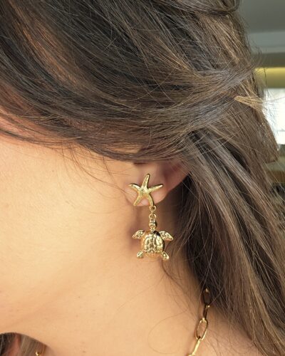 Pendientes 4799