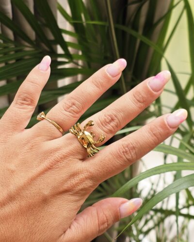 Anillo 1221