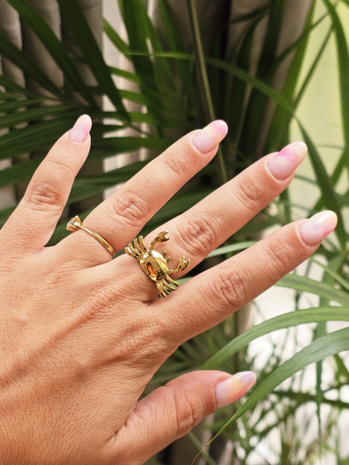 Anillo 1221