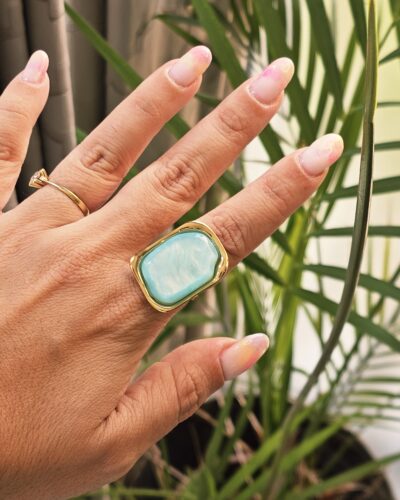 Anillo 1254