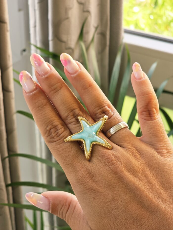 Anillo 1255