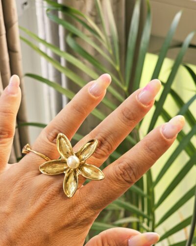Anillo 5221