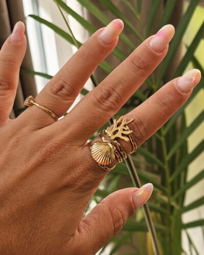 Anillo 5244