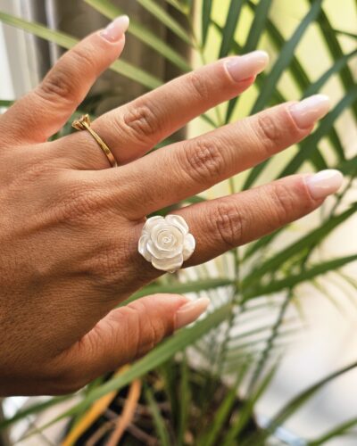 Anillo 0399