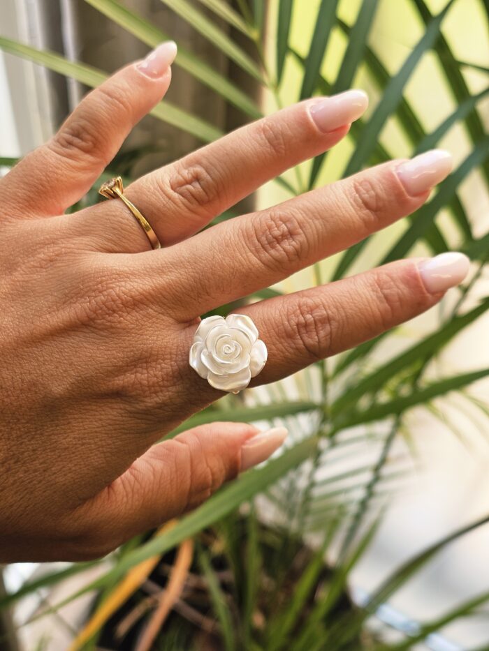 Anillo 0399