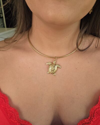 Collar 5283