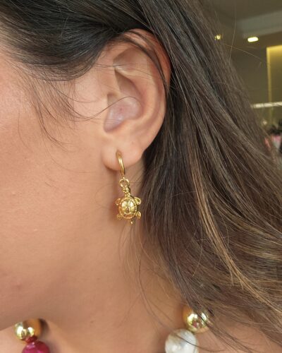 Pendientes 14741