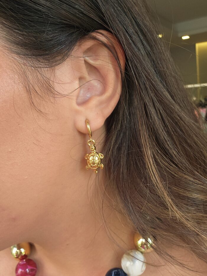 Pendientes 14741