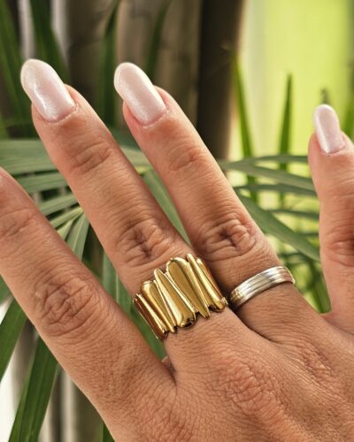 Anillo 4633