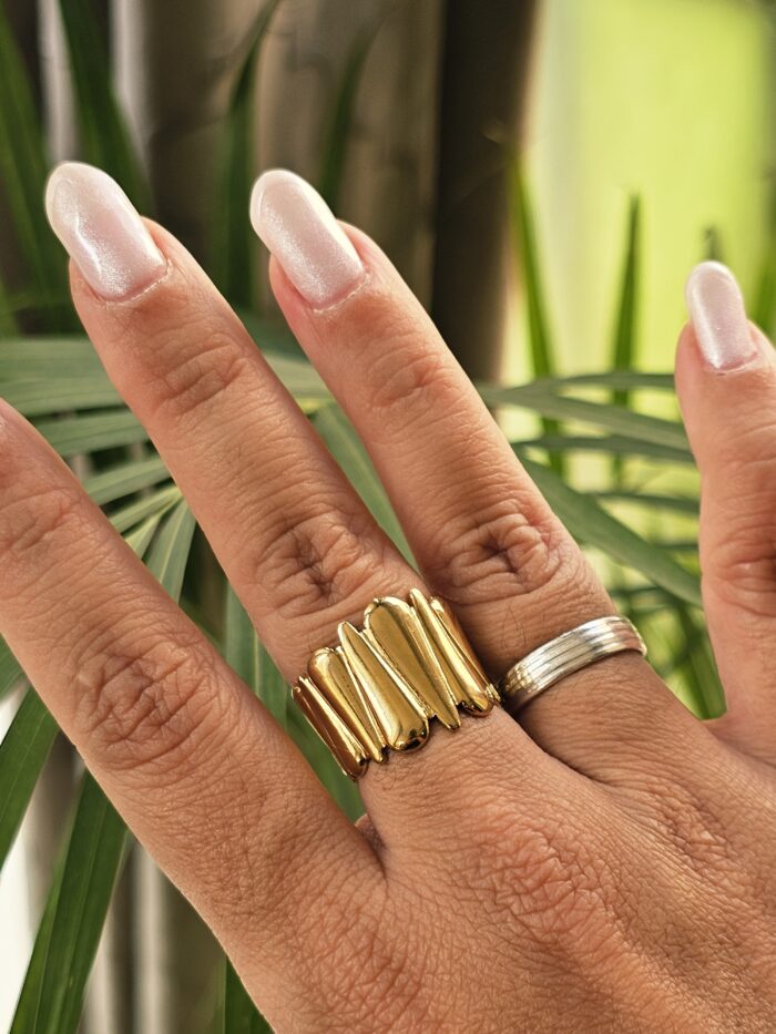 Anillo 4633