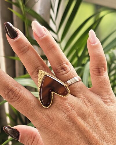 Anillo 14156