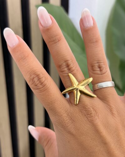 Anillo 84842