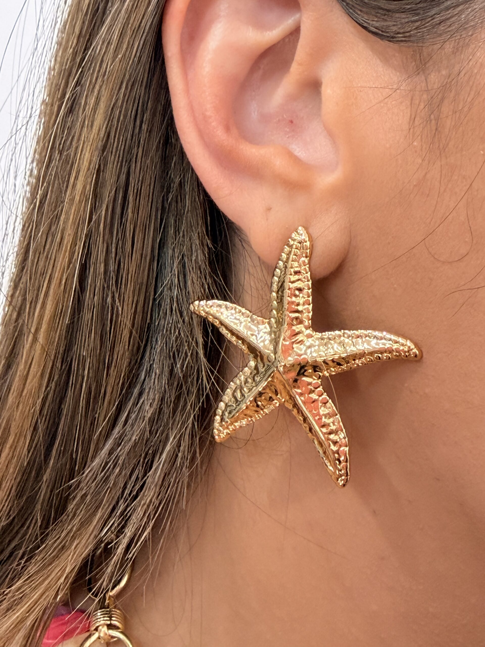 Pendientes 6339