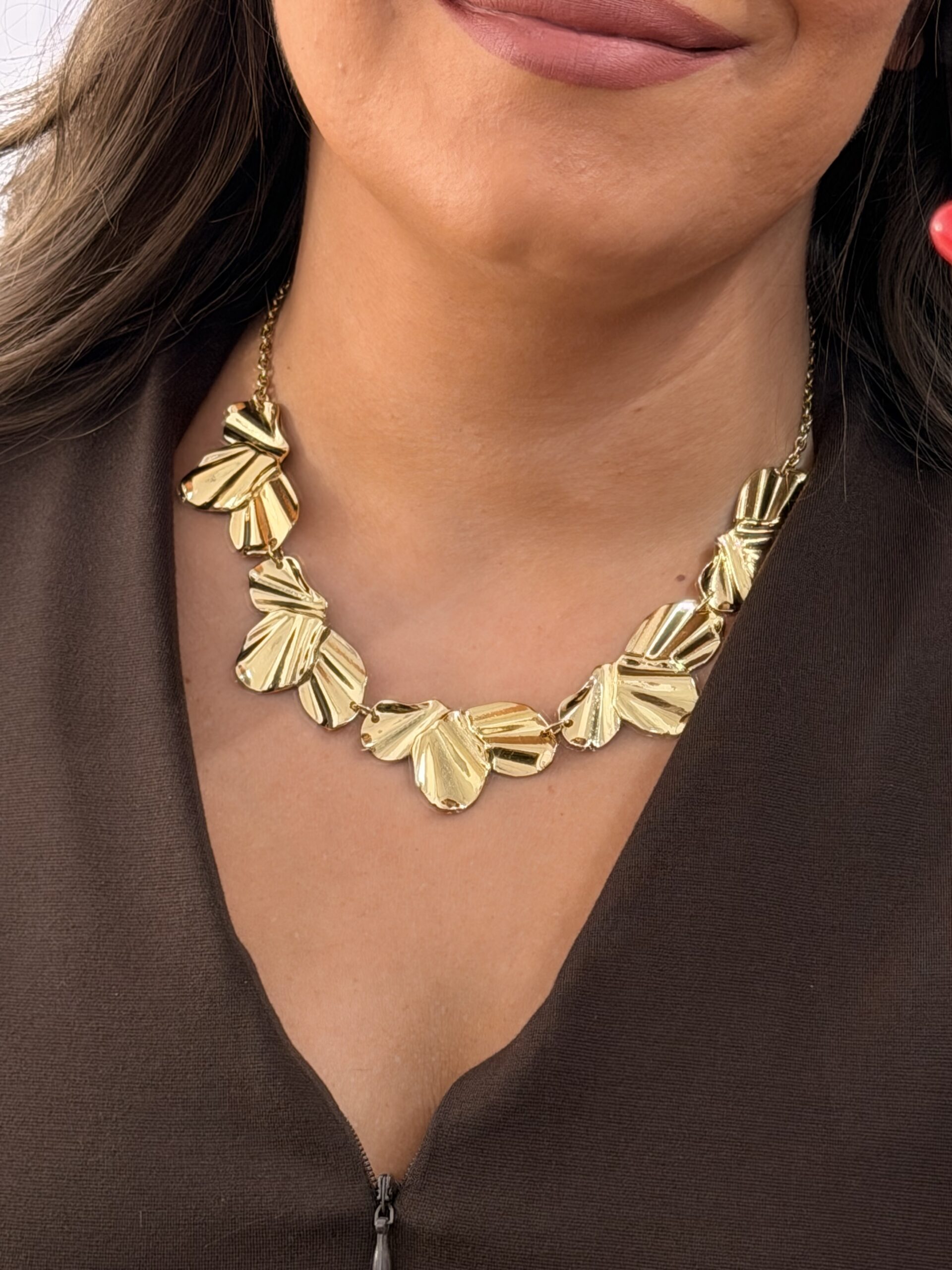 Collar 6573